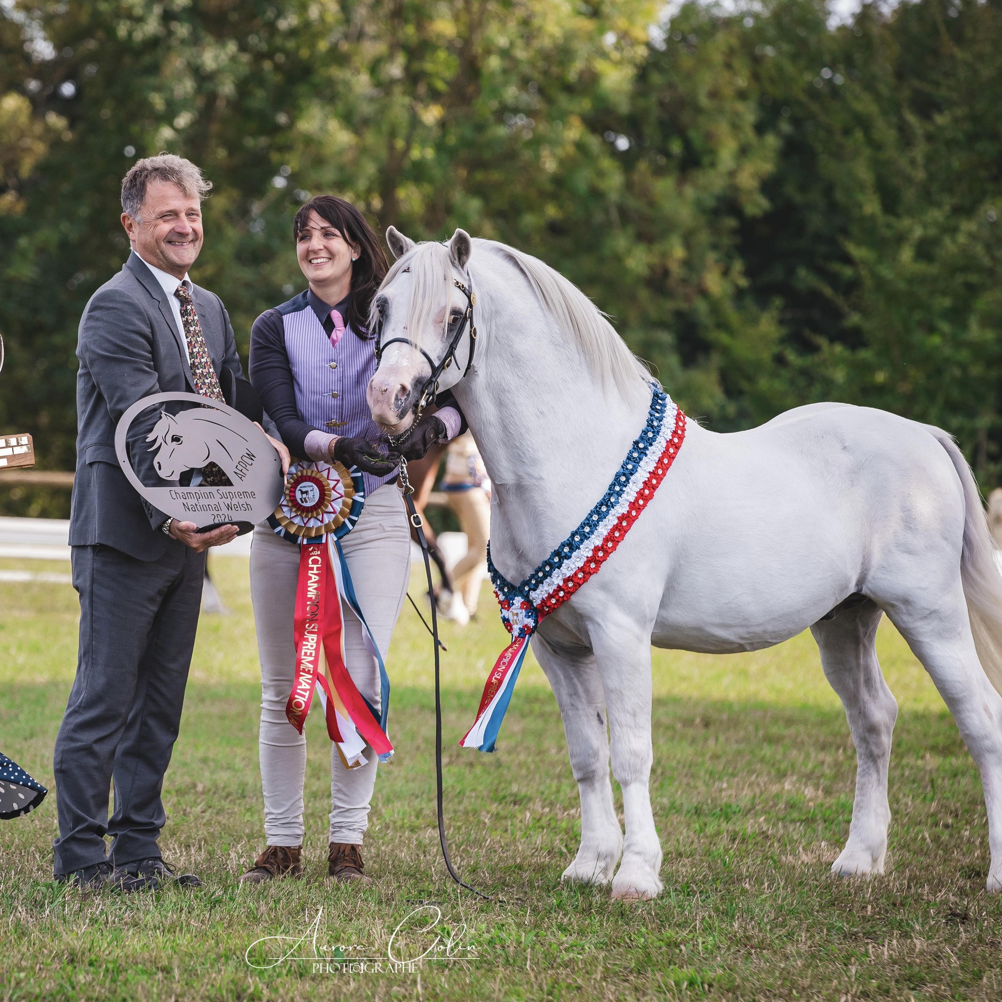 Colin Turbo Champion Suprême Welsh avec Aurélie Tuduri , Elevage du Granit dan sle Loiret